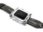      Apple Watch AWC-01