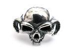    D-skull ARR28-05