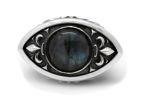    Wisdom Eye AZR-017LB