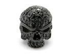    Bright Skull HCR36-01