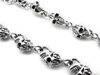     Skulls BBCh38-01